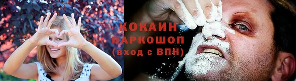 стаф Карпинск