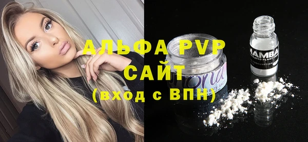 стаф Карпинск