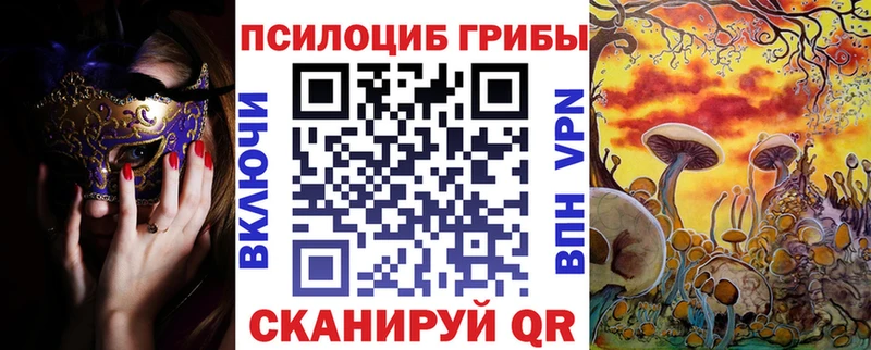 как найти наркотики Нерюнгри Псилоцибиновые грибы прущие грибы